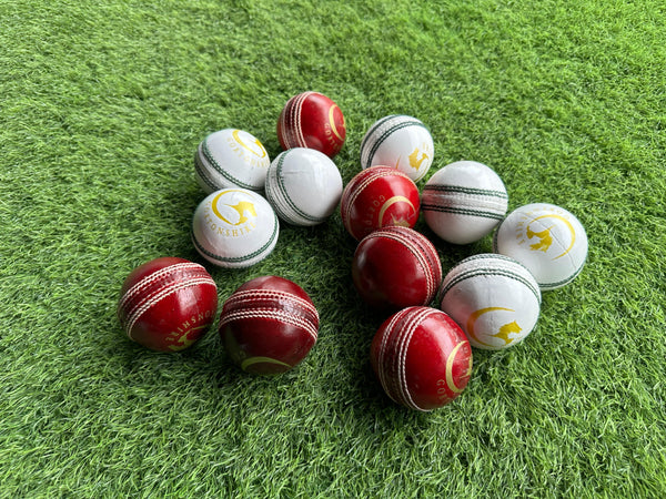 Top 5 Leather Cricket Balls in India for Nets, Matches & Tournaments 2025!