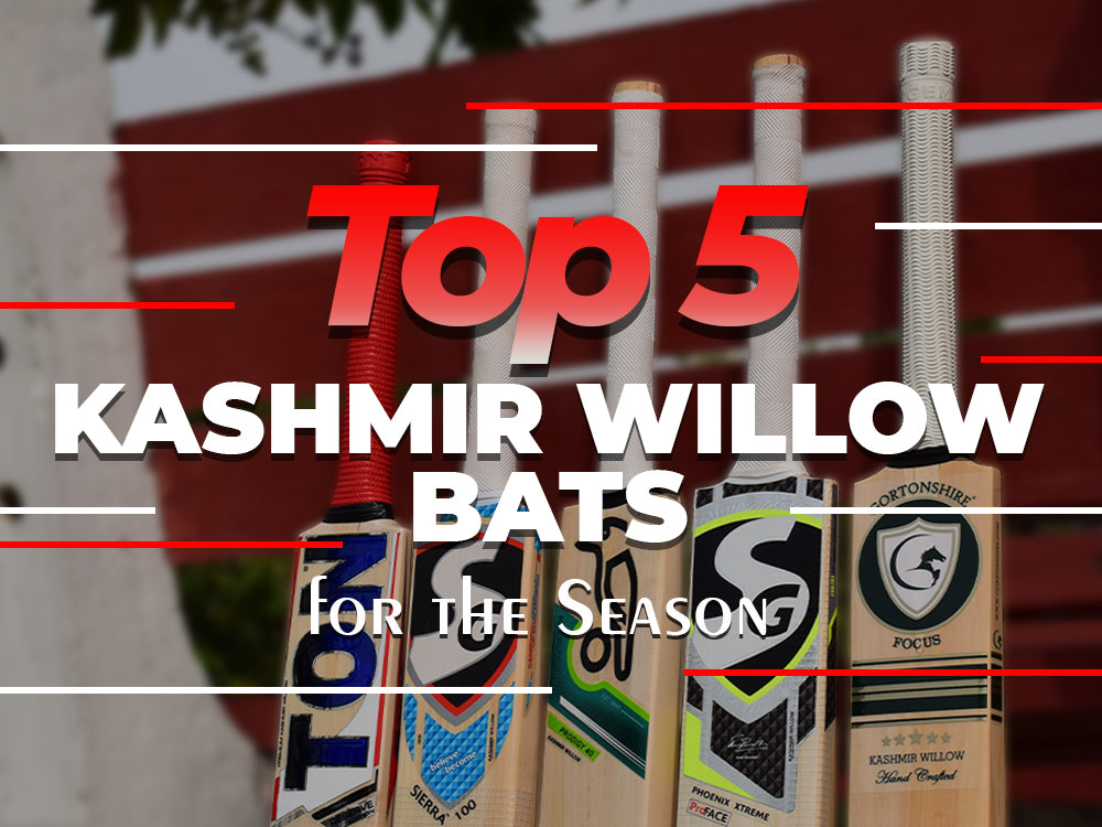 Top 5 Kashmir Willow Cricket Bats For The Season