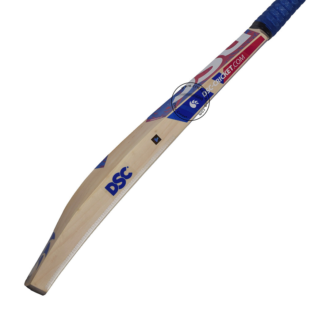 DSC Intense Crush Kashmir Willow Cricket Bat Size SH