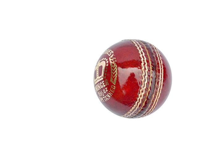 SS Swinger Cricket Ball