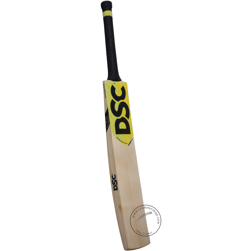 DSC Condor Flite English Willow Cricket Bat Size SH @ Front View