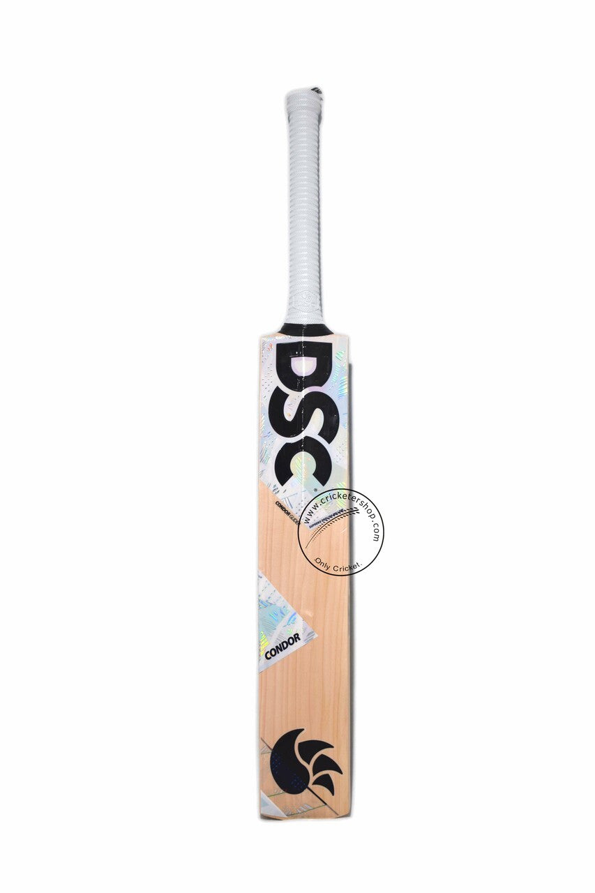 DSC Condor Glider English Willow Cricket Bat Size SH @ Back View