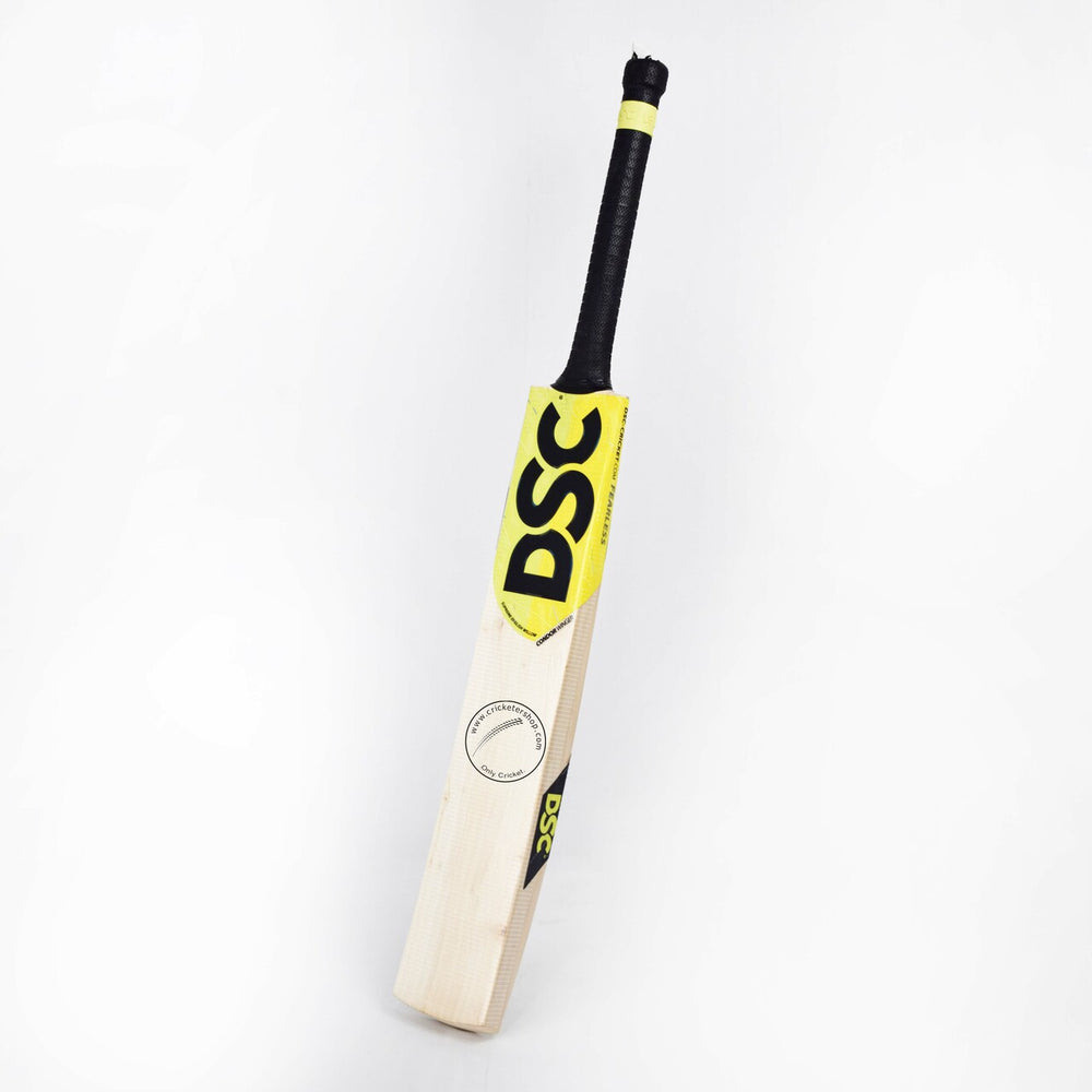 DSC Condor Winger English Willow Cricket Bat Size SH @ Front View