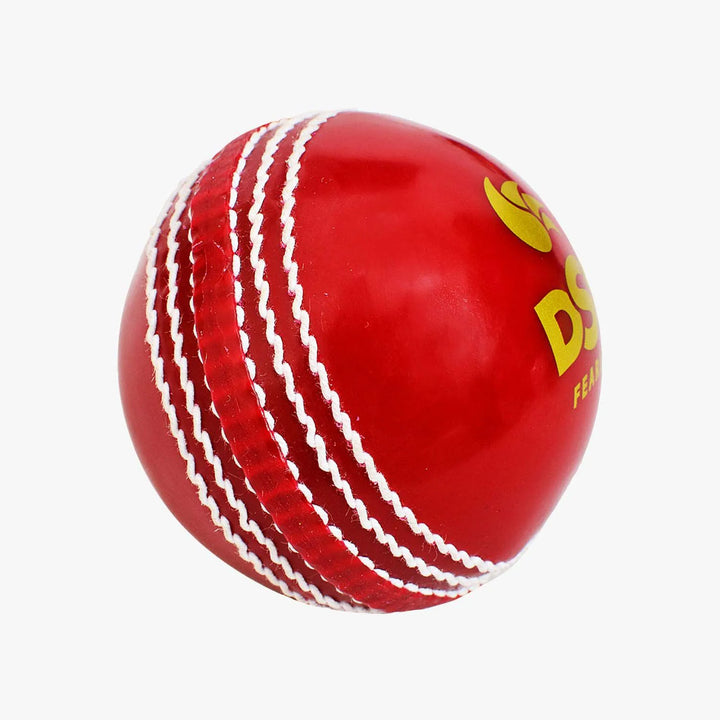 DSC Incredible Poly Soft Cricket Ball Marathon Red@front view3
