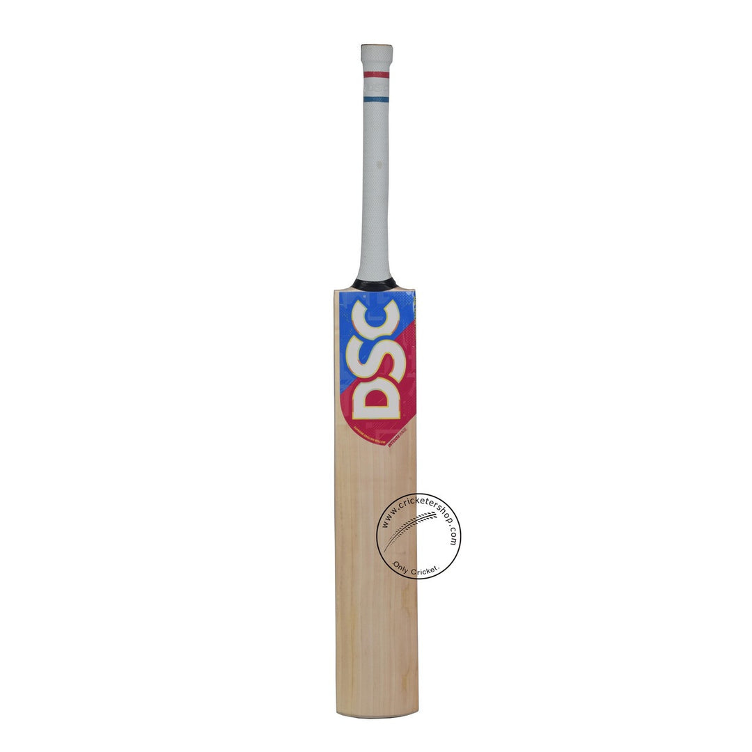 DSC Intense Rage English Willow Cricket Bat Size SH @ Front View