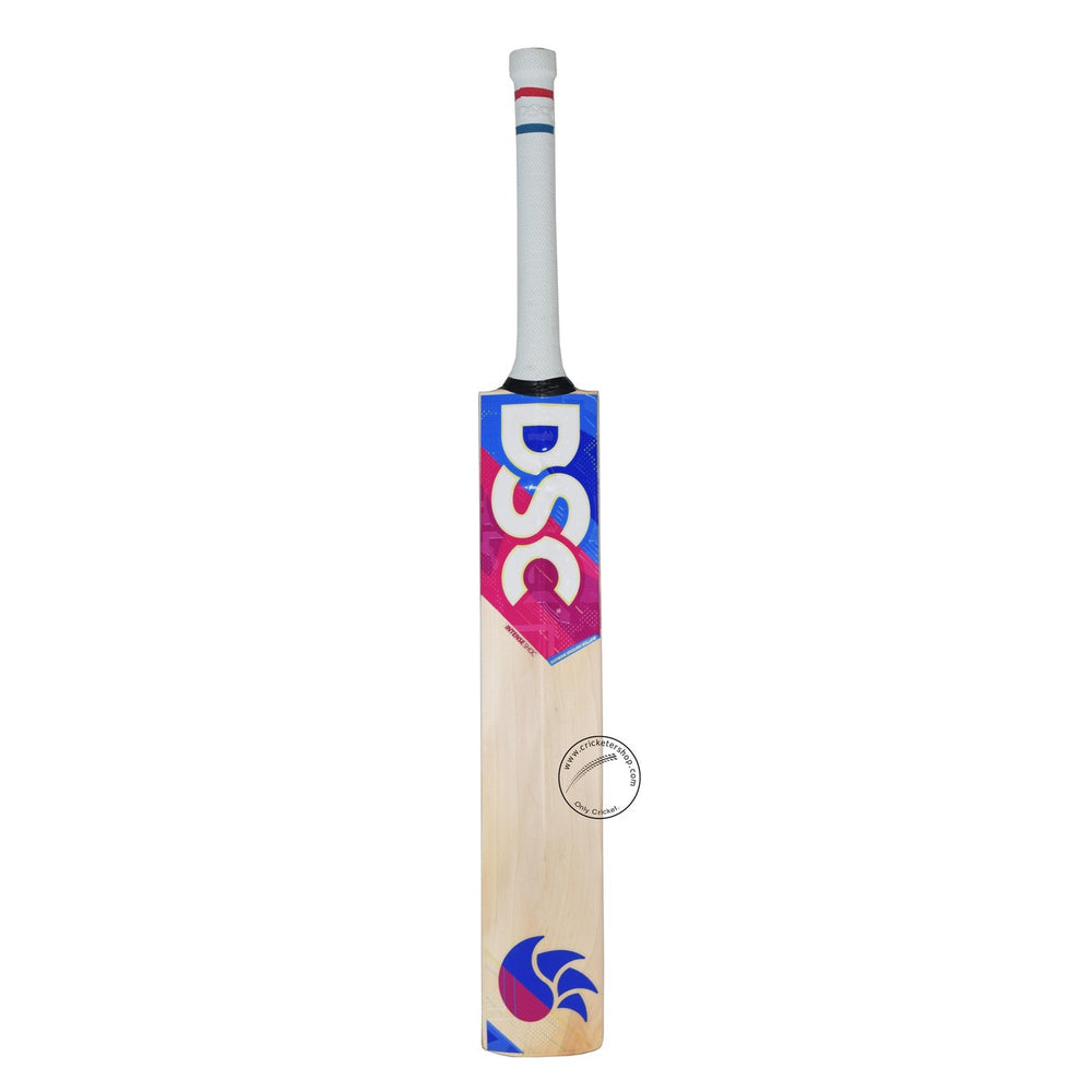 DSC Intense Shoc English Willow Cricket Bat Size SH @ Back View