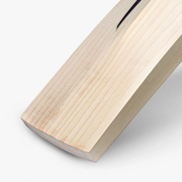 DSC RS 040 English Willow Cricket Bat Size SH @ Back View 1