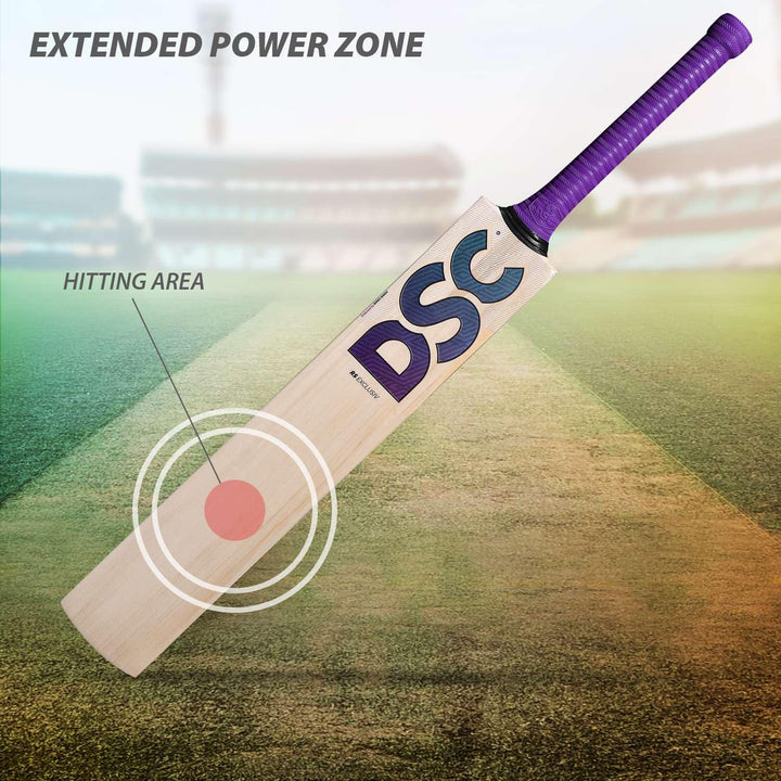 DSC RS Exclusive Selected Willow Cricket Bat Size SH @ Front View 2