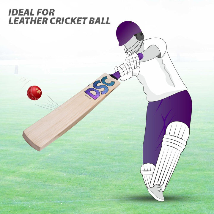 DSC RS Exclusive Selected Willow Cricket Bat Size SH @ Front View 5