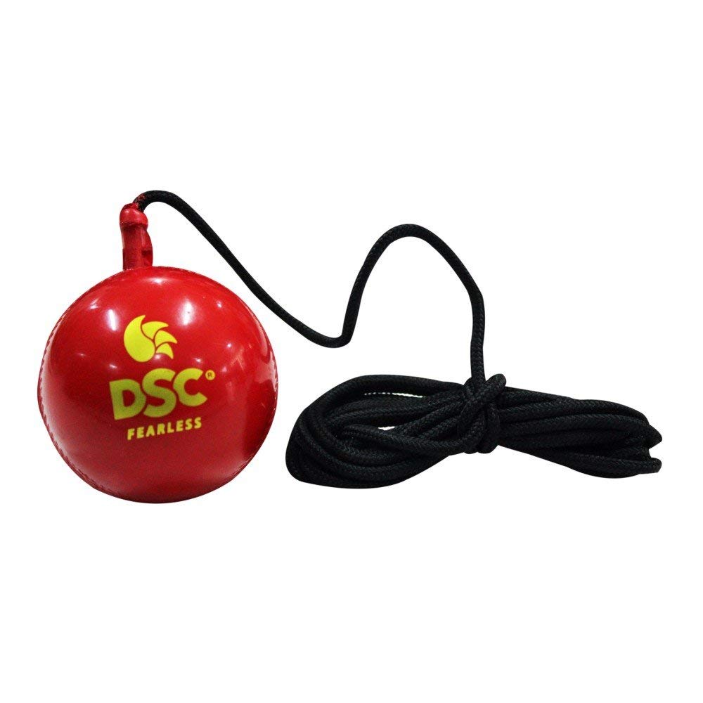 DSC Synthetic Cricket Hanging Ball Red @ Side View 3