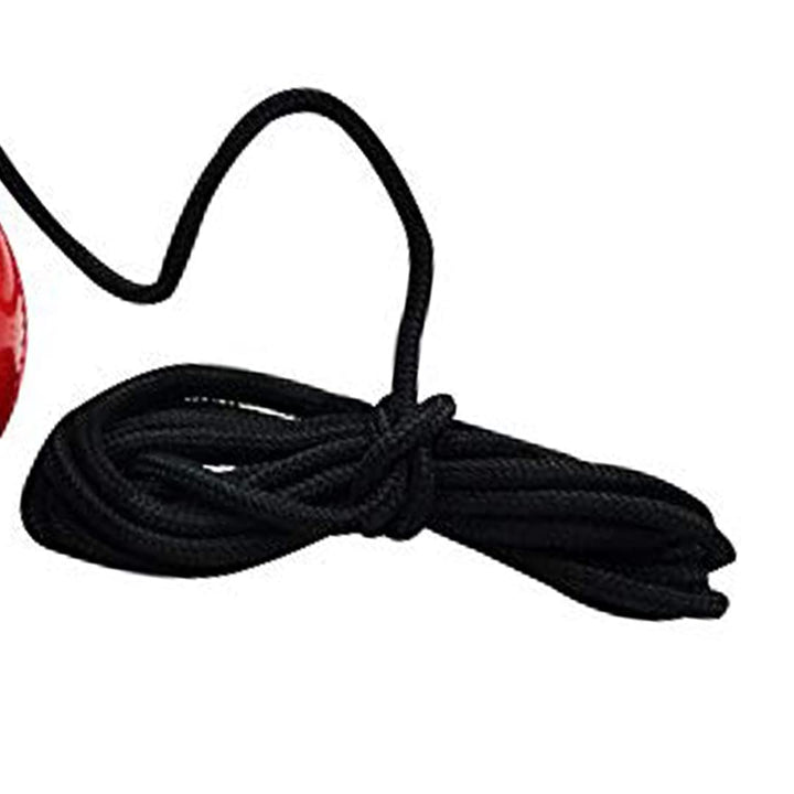 DSC Synthetic Cricket Hanging Ball Red @ Side View 4