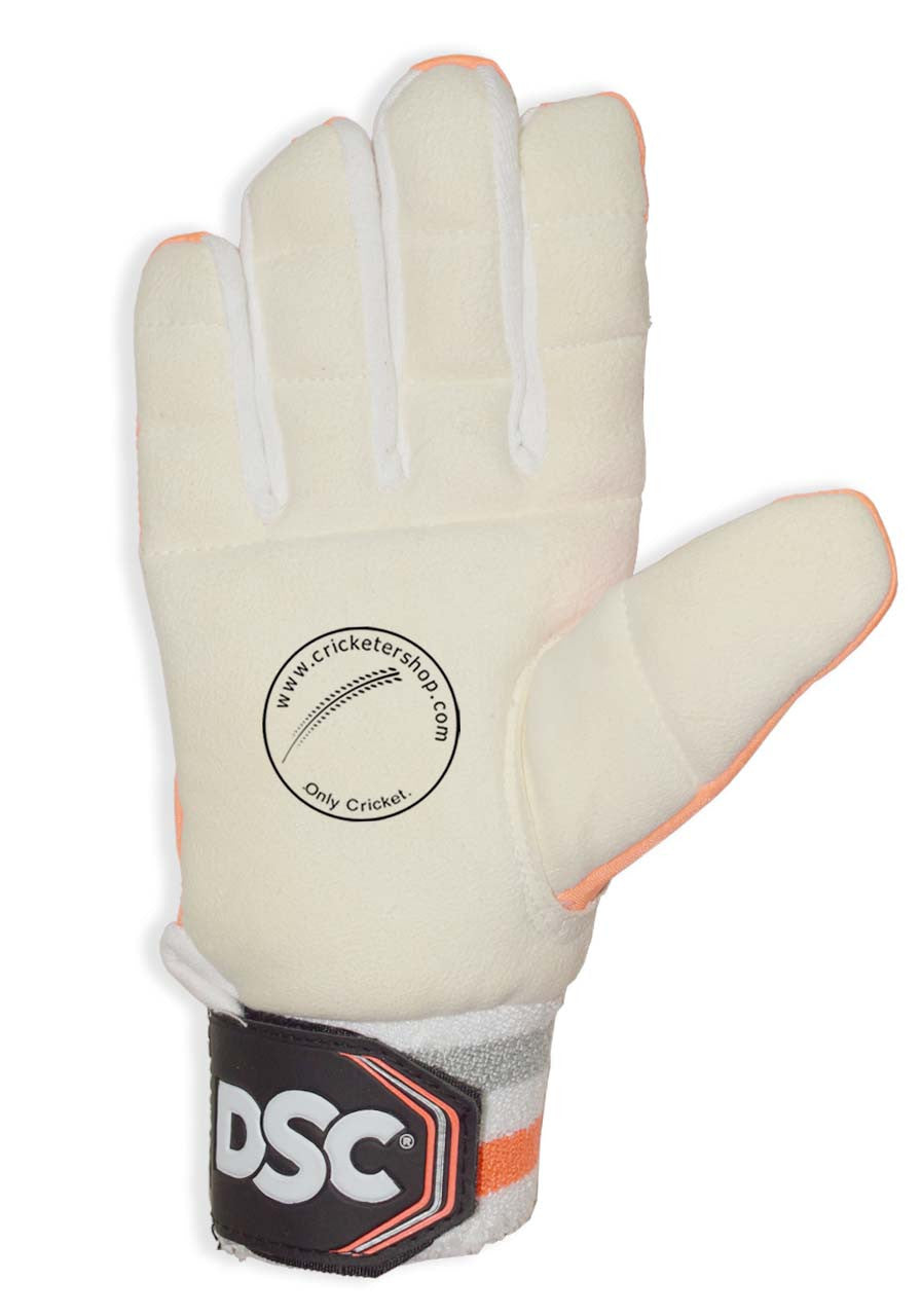 Dsc Pro Padded Inner Gloves for Wicket Keeping @  Right Front View