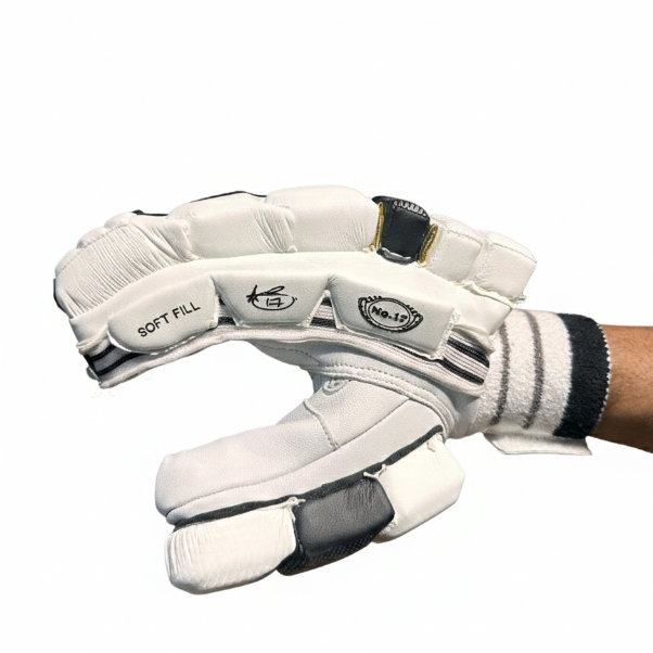 EM 360 Number 17 Cricket Batting Gloves@front view2