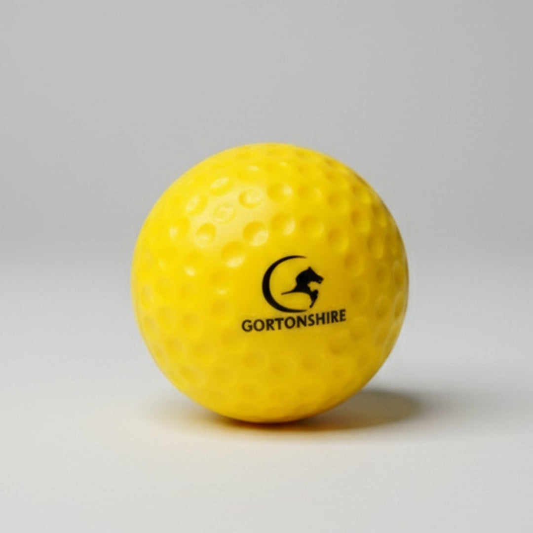 Gortonshire Big Dot Machine Cricket Ball Yellow@front view