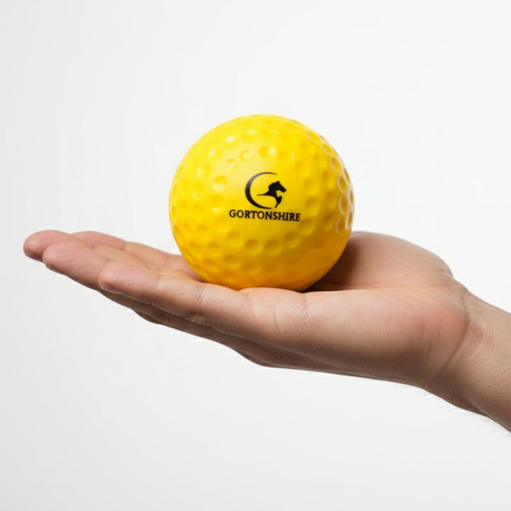 Gortonshire Big Dot Machine Cricket Ball Yellow@front view3