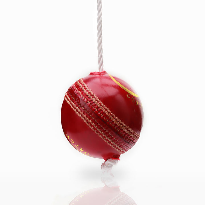 Gortonshire I Ball Cricket Training Ball @ Hanging View