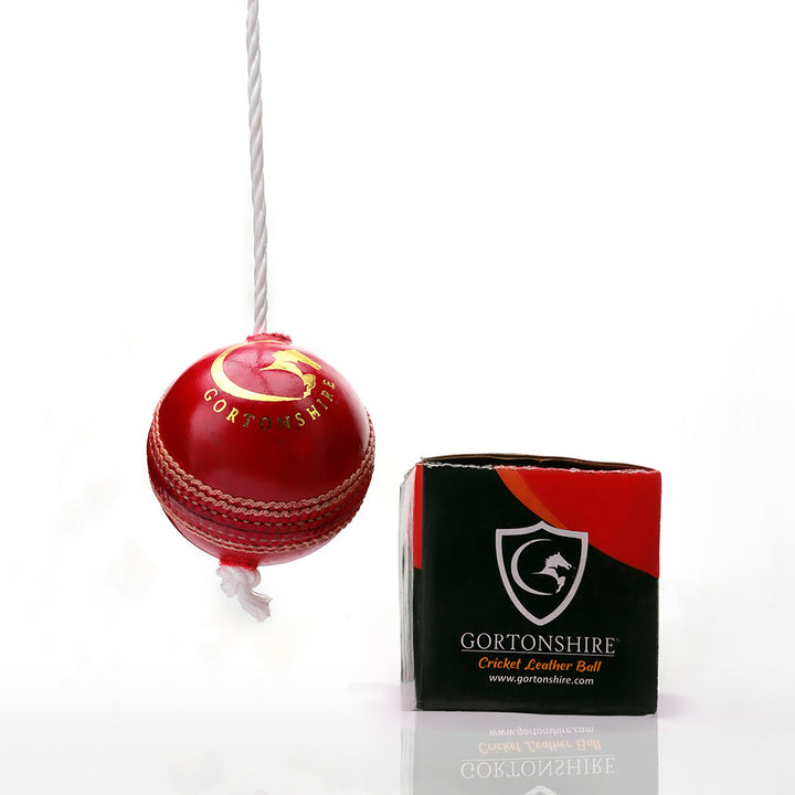 Gortonshire I Ball Cricket Training Ball @ Hanging View 2