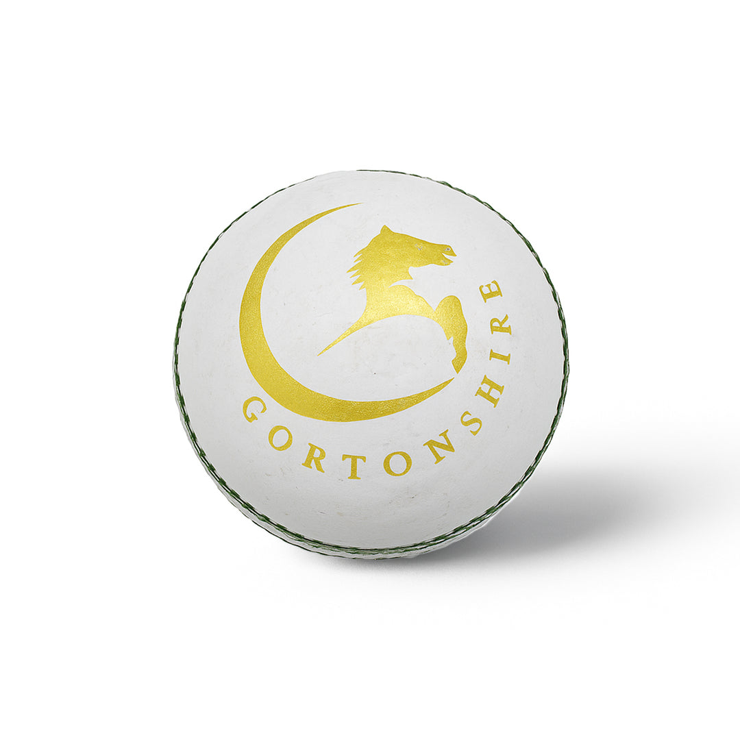 Gortonshire Leather Heavy Cricket Ball White 250-300 Grams@front view