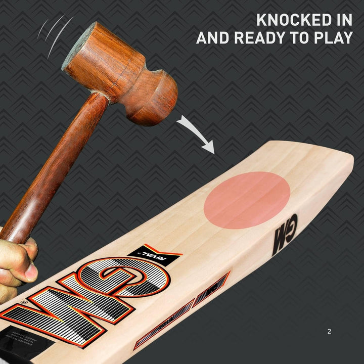 Gunn & Moore (GM) Rival 707 English Willow Cricket Bat Size SH @ Side View 3