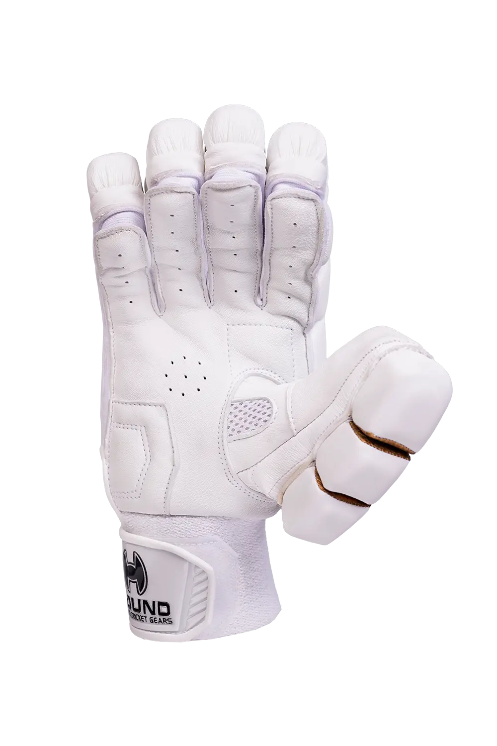 Hound Legacy Cricket Batting Gloves Adult Size @ Right Back View