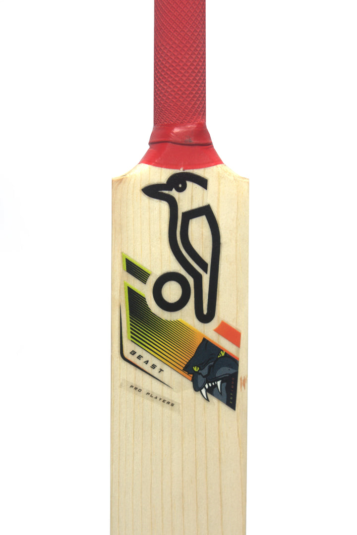 Kookaburra Beast Mini Cricket Bat 15 Inches @ Front Top View 2