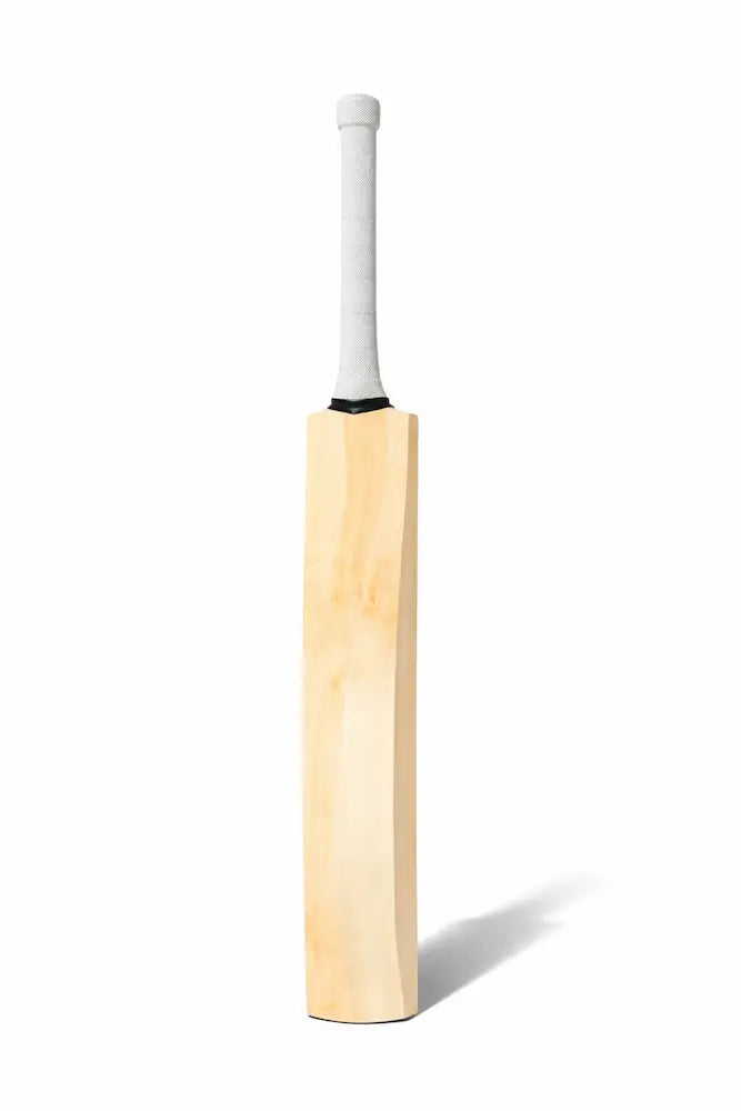 Plain English Willow Cricket Bat @ Back View