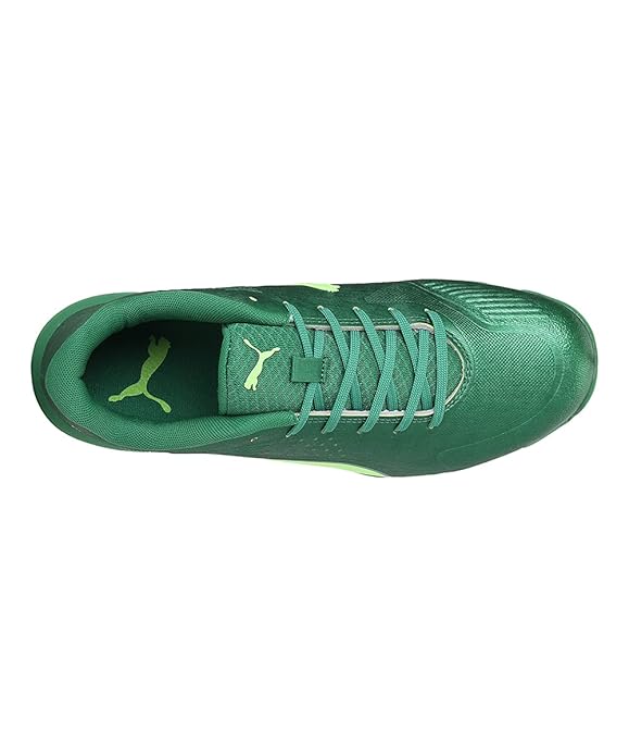 Puma 20 FH 106469 02 Cricket Rubber Shoes Grenn @ Top View