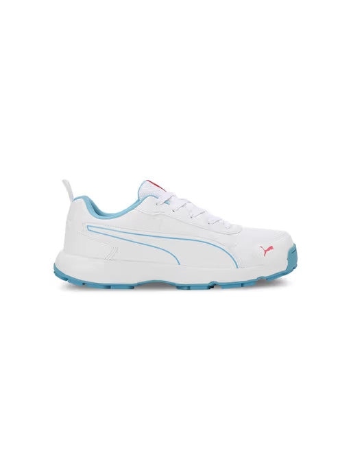 Puma Classicat 10780705 Cricket Rubber Shoes Etheral size @ Side View 3