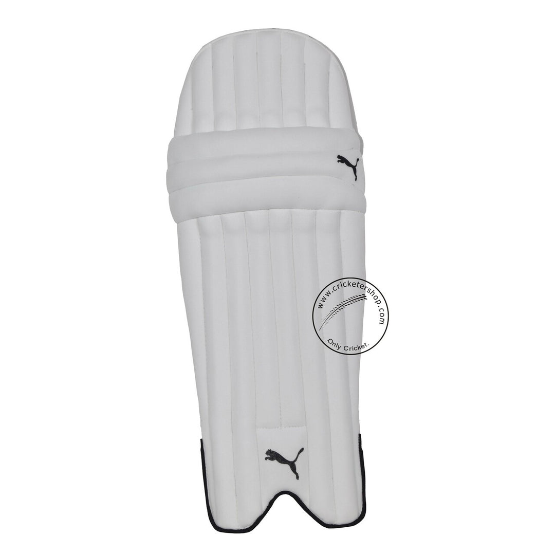 PPuma Future Starter Blue Orange Kashmir Willow Cricket Kit Size @ Pads Front View