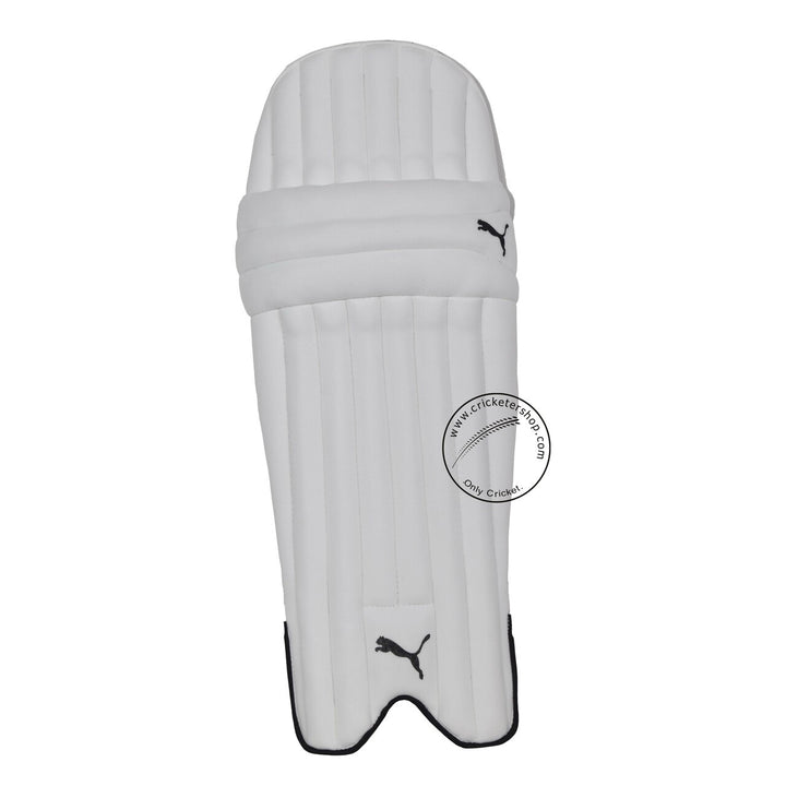 PPuma Future Starter Blue Orange Kashmir Willow Cricket Kit Size @ Pads Front View