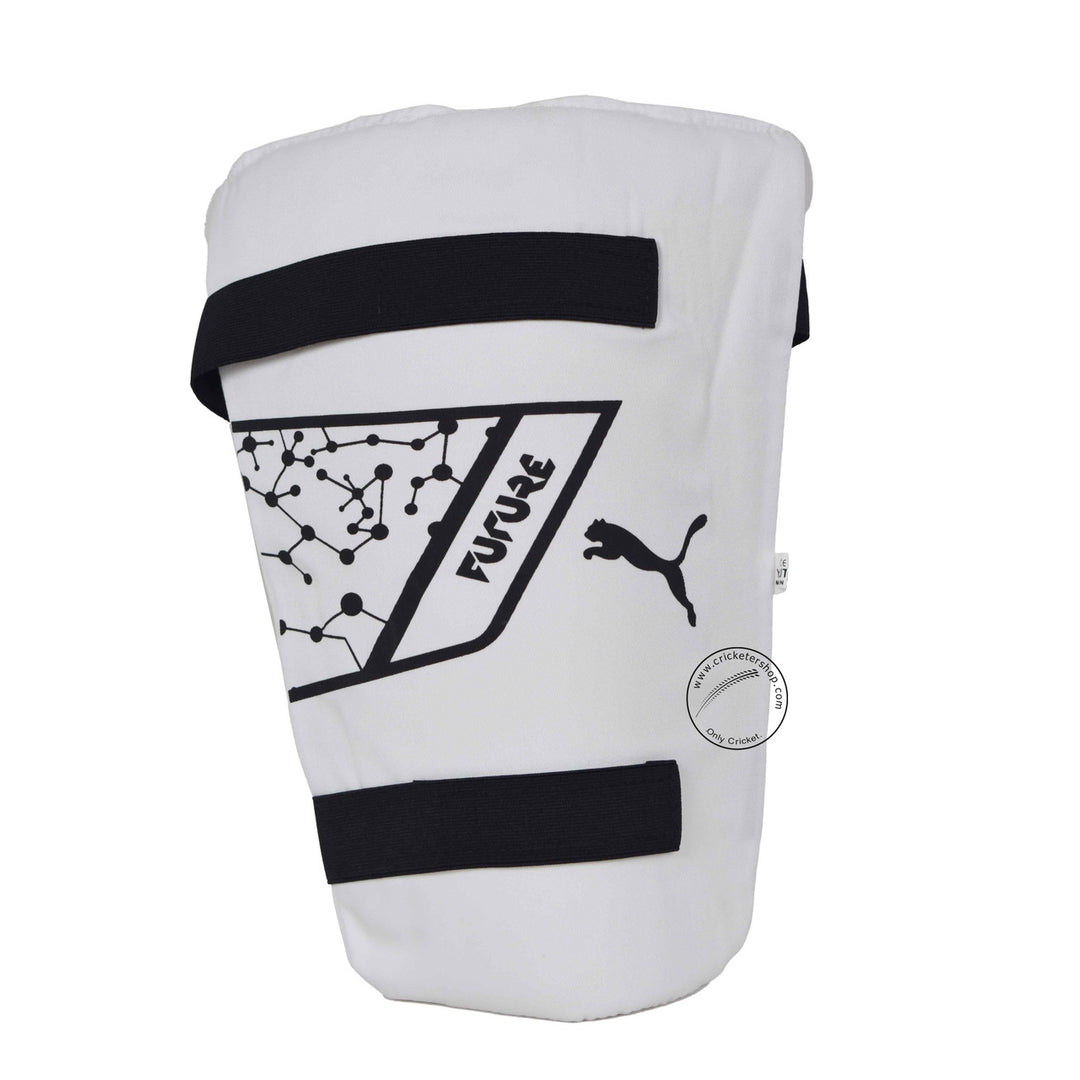 Puma Future Starter Blue Orange Kashmir Willow Cricket Kit Size @ Pads Thigh Guard View