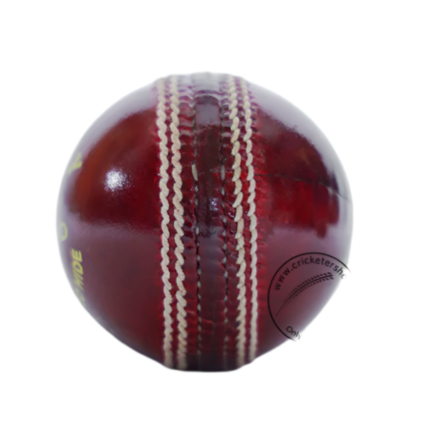 SF County Cricket Ball colour@ Side View