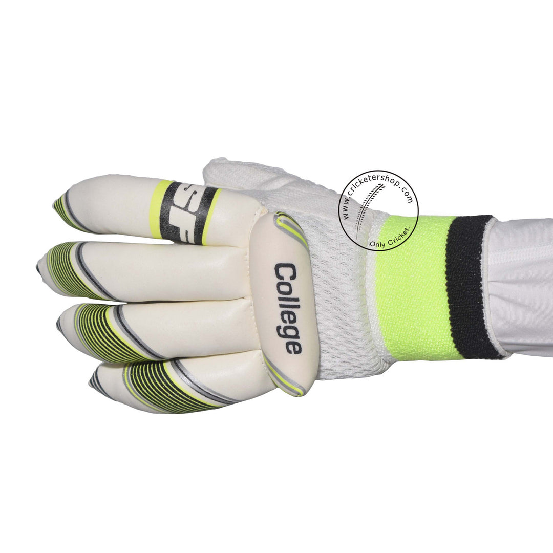 SF Full Complete Kashmir Willow Cricket Kit Size @ Gloves Back View