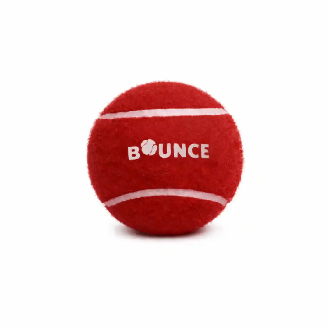 SG Bounce Heavy Cricket Ball Pack of 6 @ Side View