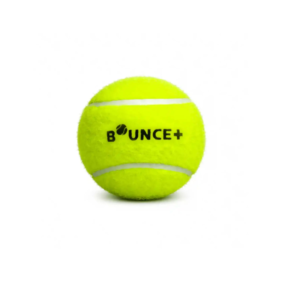 SG Bounce Plus Lite Cricket Ball Pack Of 6 @ Front View