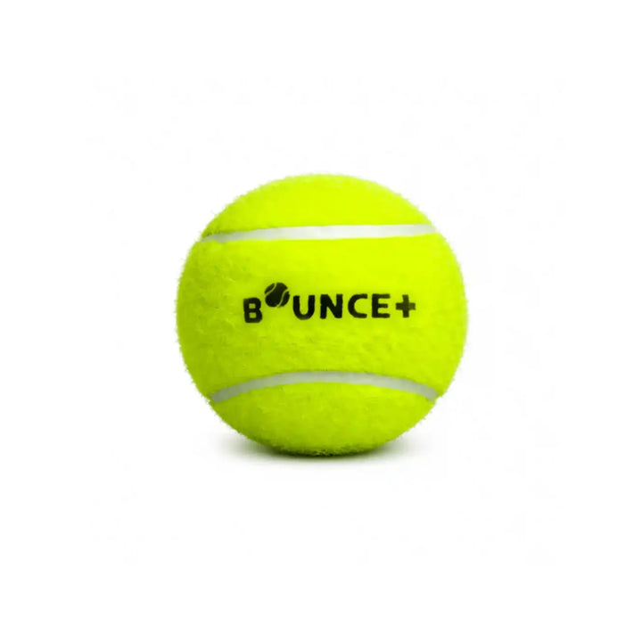 SG Bounce Plus Lite Cricket Ball Pack Of 6 @ Front View