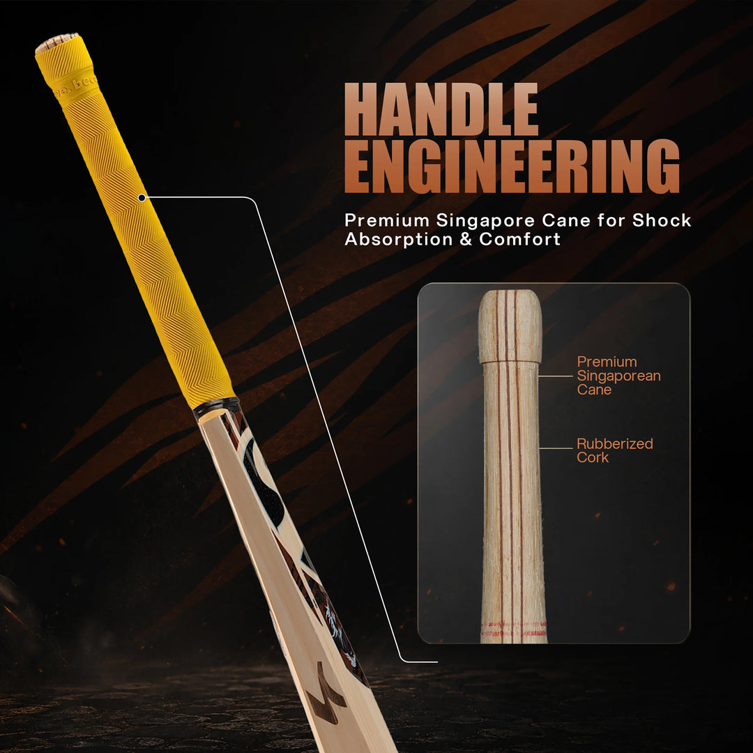 SG_Ishan_Kishan_English_Willow_Cricket_Bat_Size_Top_View_3_24fbad03