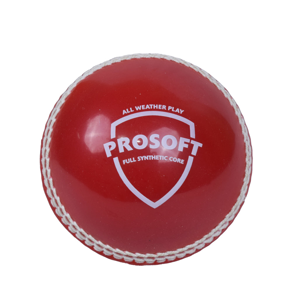 SG Prosoft Cricket Ball@Back