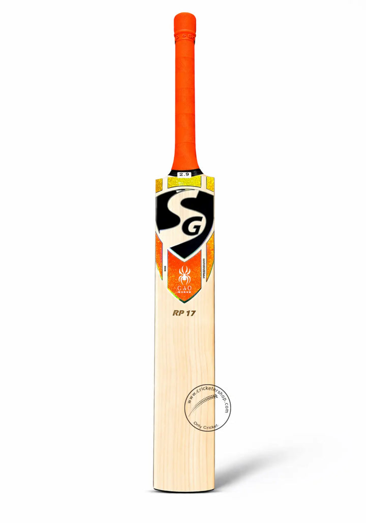SG RP 17 Rishabh Pant English Willow Cricket Bat Size SH@front view
