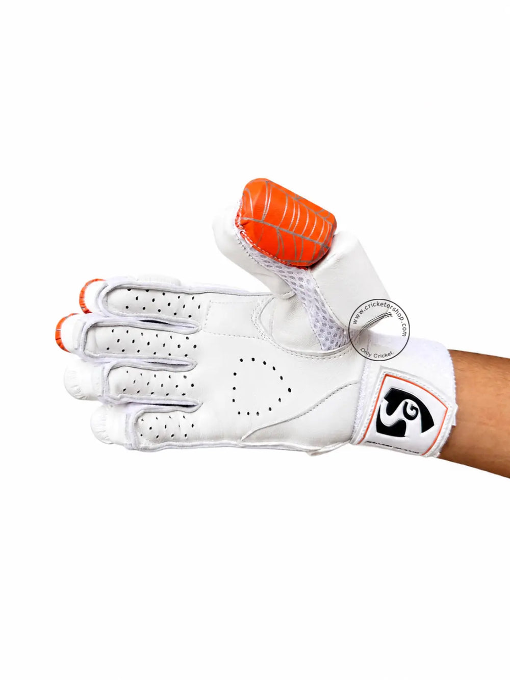 SG RP Lite Cricket Batting Gloves @ Right Back View 