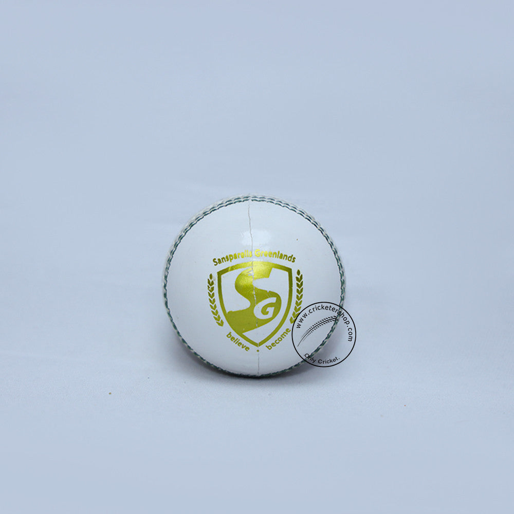 SG Shield 30 Cricket Ball colour-White@Front View