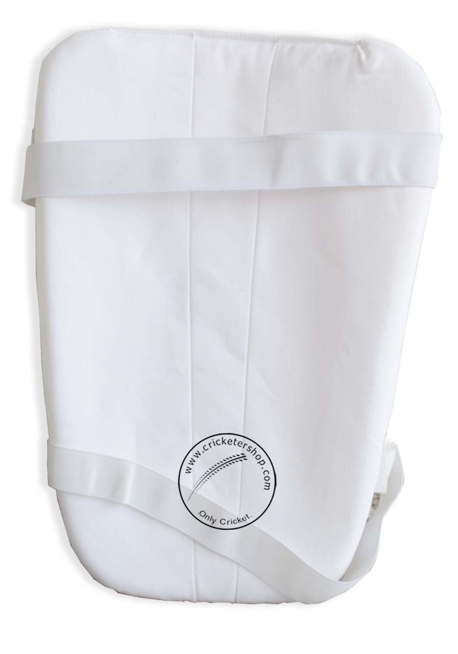 SG Test Cricket Batting Thigh Guard Pad Boys @Back View