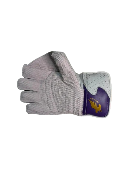 SS Falcon Cricket Wicket Keeping Gloves Mens Size @ Right Front View Purple