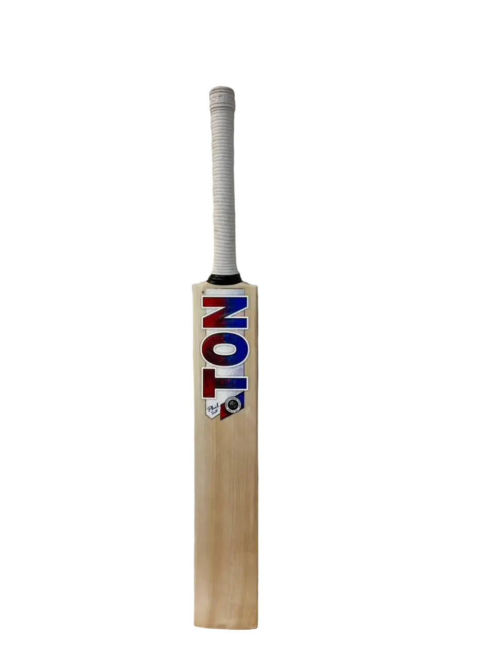 SS Players Phil Salt English Willow Cricket Bat Size Harrow @ Front View