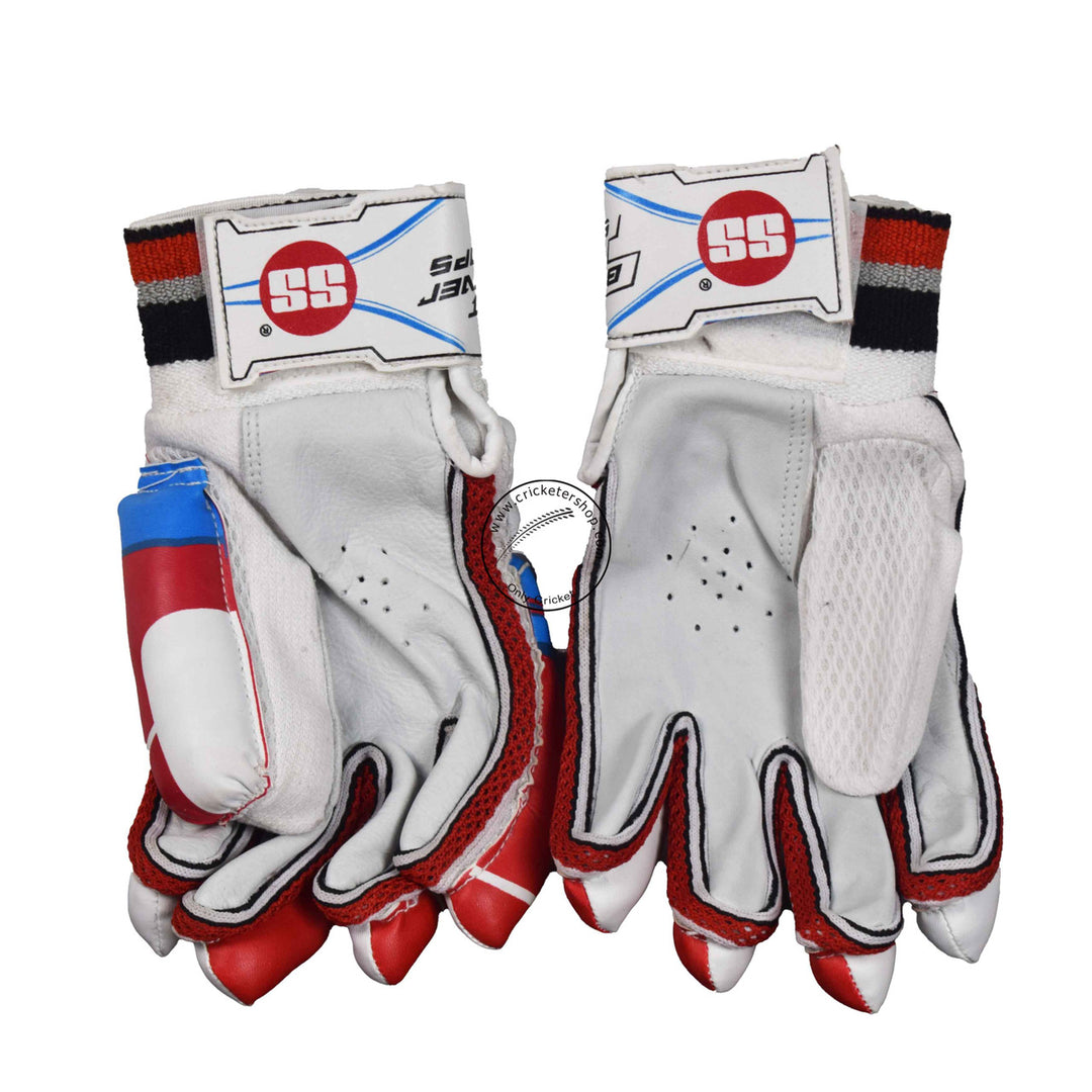 SS SKY Classic Kashmir Willow Cricket Kit @ Gloves Back View