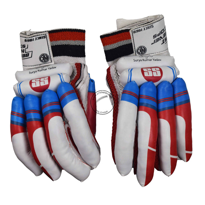 SS SKY Classic Kashmir Willow Cricket Kit @ Gloves Front View