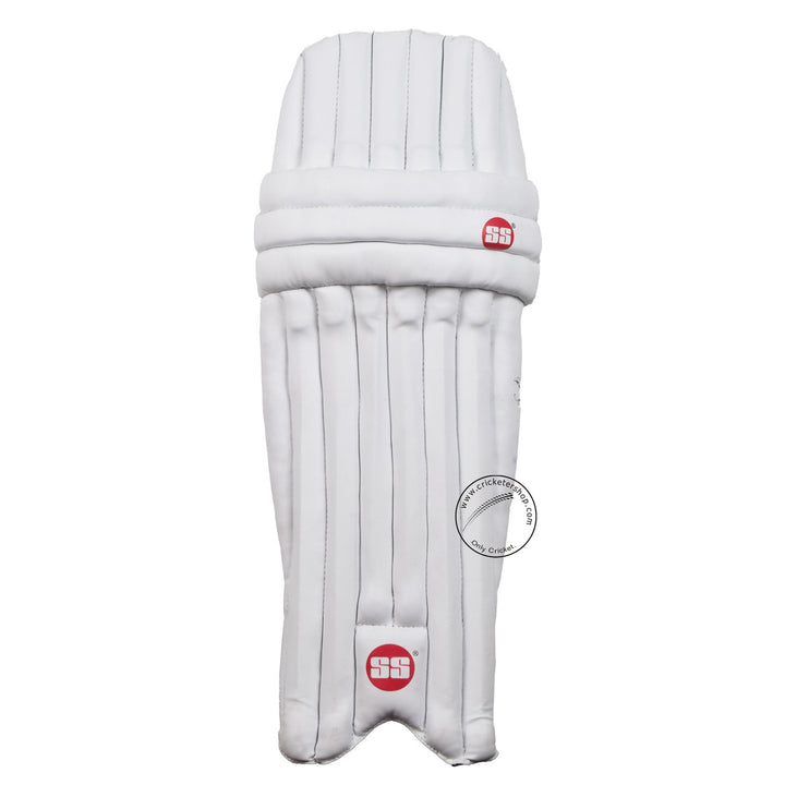 SS SKY Classic Kashmir Willow Cricket Kit @ Pads Front View