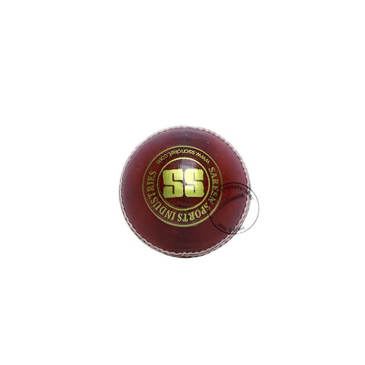 SS Yorker Leather Cricket Ball Red @ Back View