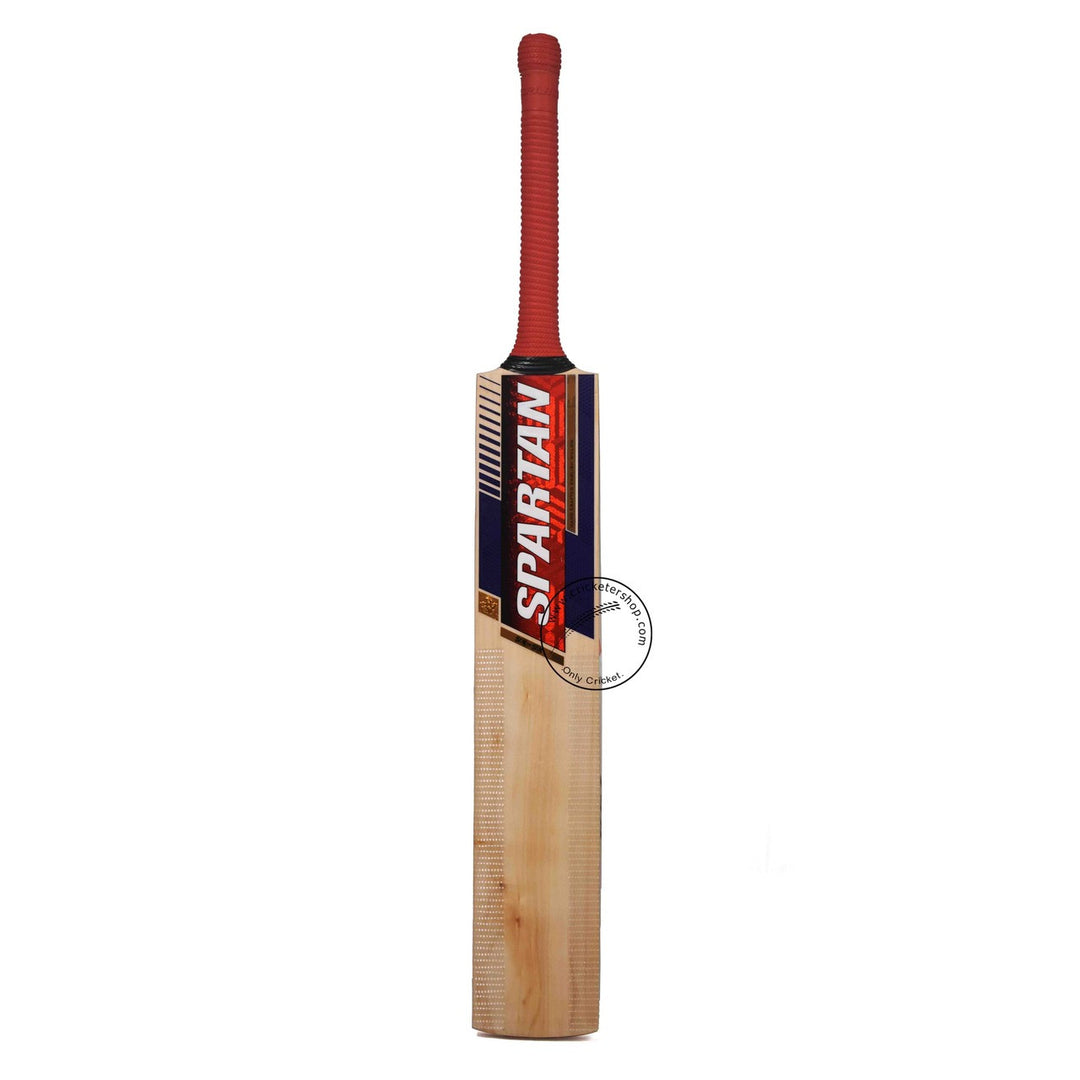 Spartan 6 ON 6 English Willow Cricket Bat Size SH @ Front View