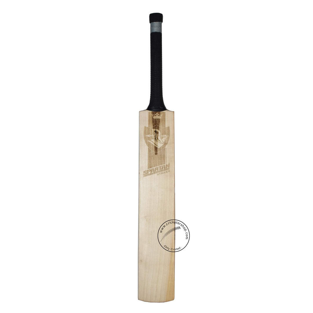 Spartan Striker English Willow Cricket Bat Size SH @ Front View